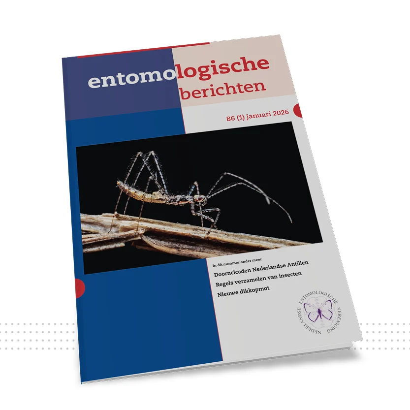 EB 01: omslag van Entomologische Berichten, een tijdschrift laten opmaken met een insect op een tak