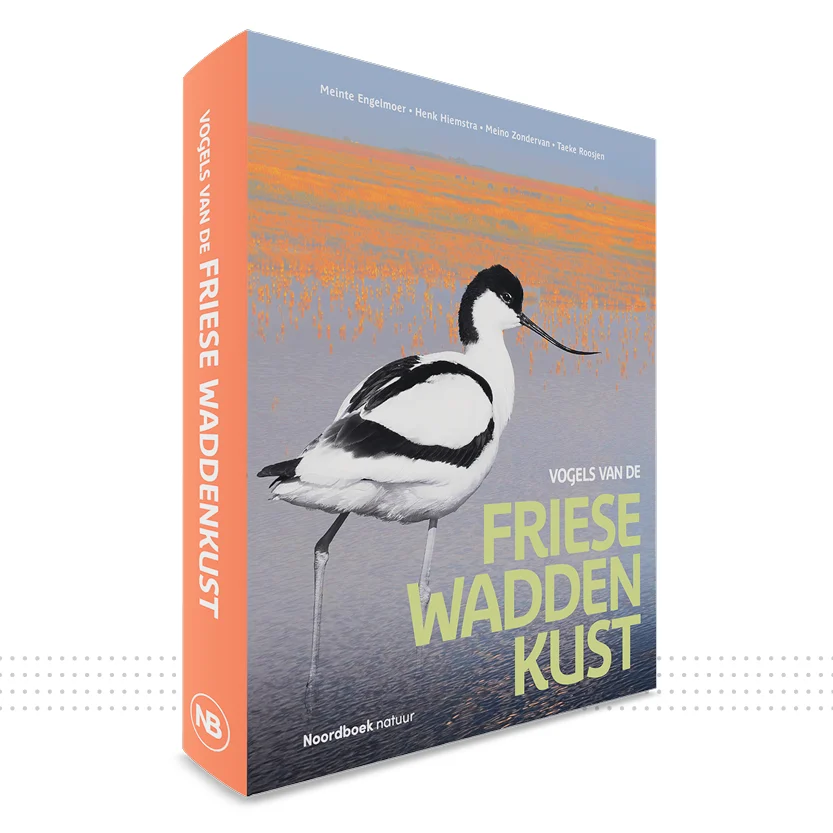 Boek ‘Vogels van de Friese Waddenkust’ met een kluut; voorbeeld van boek laten vormgeven (FrieseWaddenkust).