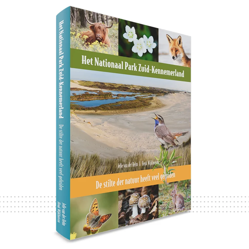 Boekcover over de Kennemerduinen, een voorbeeld van professionele boekopmaak met natuurbeelden