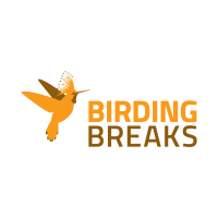  BirdingBreaks 